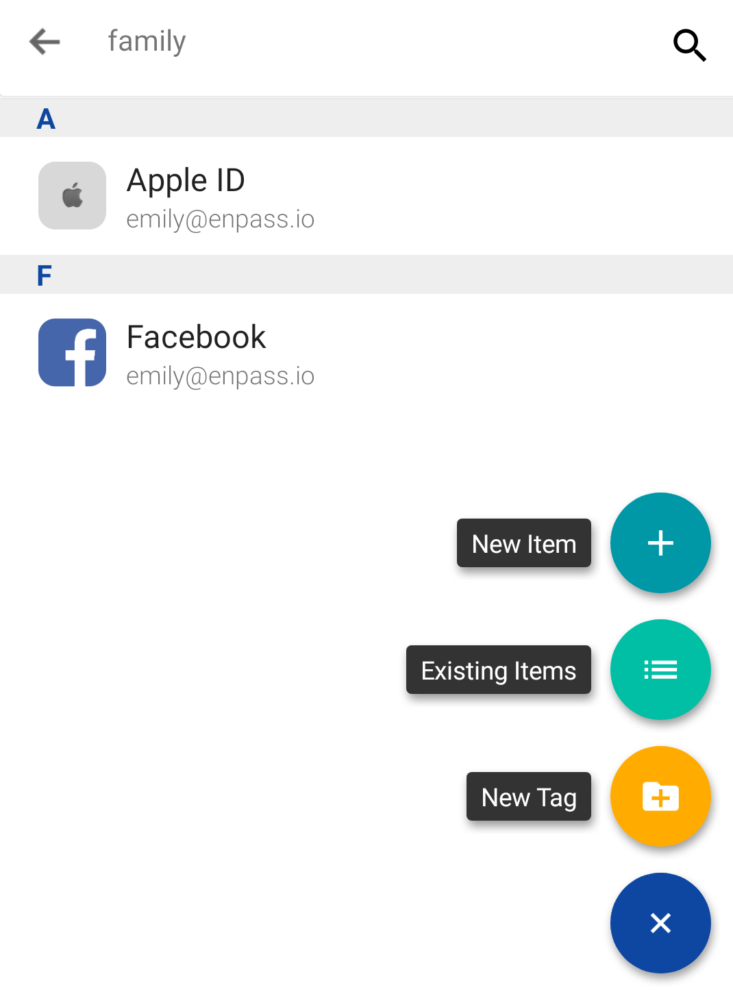 Tap plus sign to add a tag to new Item in Enpass